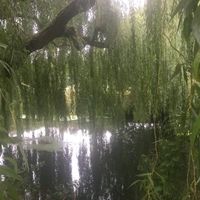 оригинальный звук