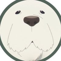 bondoninaritai