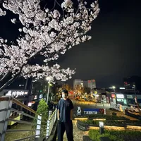 original sound - mileyyy33