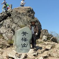오리지널 사운드 - user985848810776
