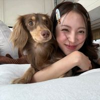 baifernpcnl