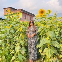 sharmila_kc_