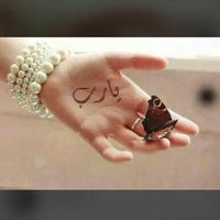 mimo_196