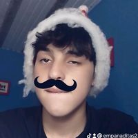 empanaditas232