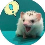 harry__channel