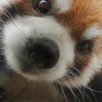 オリジナル楽曲 - ︎︎