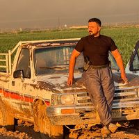 hamidlaylin99