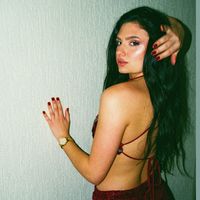 slamilica