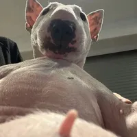 original sound - aaon_08