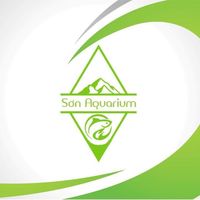 trinhcongson10