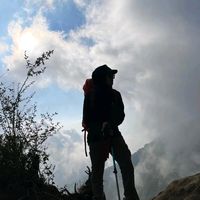 selfhealing_