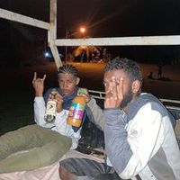 nanaforest