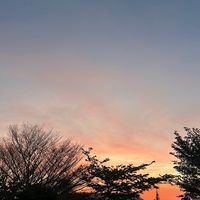 original sound - SUBASHSIVAN