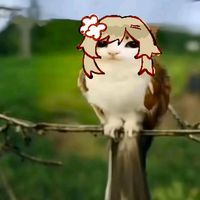 original sound - Alerycx