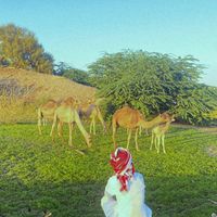 الصوت الأصلي