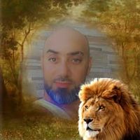 kado.mazen
