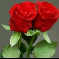 soukar87