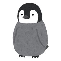 userpyoza068sc