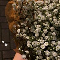 melodymagic05