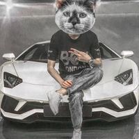 userk8hcb8aw7c