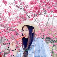 anan_daily