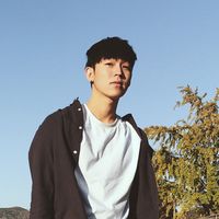 thefakeoppa
