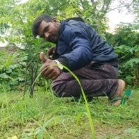 original sound - VenkataSimha