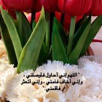 ymzymz12