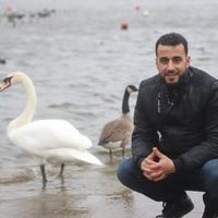 hassanayssar0
