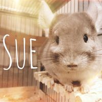 suerte_sue