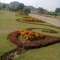 original sound - nabeelshahzad850