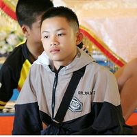 dom_dom030761