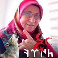 dy7o5mm75po1ayn