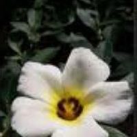ly_marina61