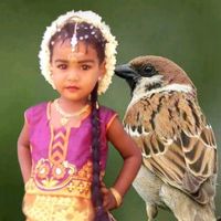 original sound - சிட்டு குருவி