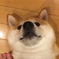 daisou0606