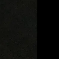 プシケルガー