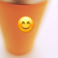 nan_s29