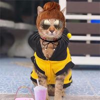 เสียงต้นฉบับ - ขนทองแมวเอ๋อ