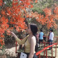 nhạc nền - Hạnh Móm