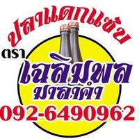 เสียงต้นฉบับ - เฉลิมพล มาลาคํา