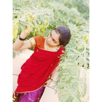 nishacheckz