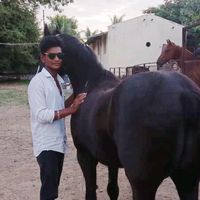 surajlipare