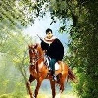 mahmoudabujadea