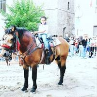 simonedevincenti6