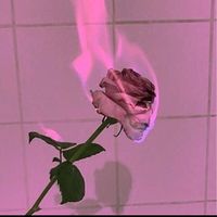 user41qhxbdrv0