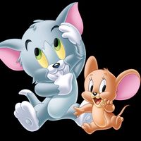 taskeen_9