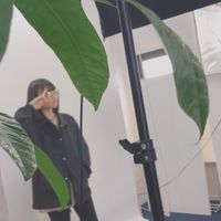 オリジナル楽曲 - 松子🎍🌳