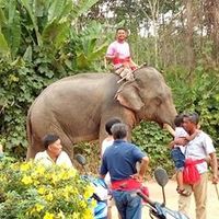 เสียงต้นฉบับ - ชวลิต เทพปาน