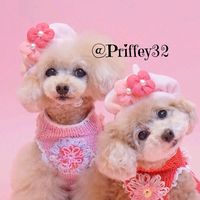 priffey32